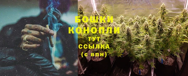 дурь Слюдянка