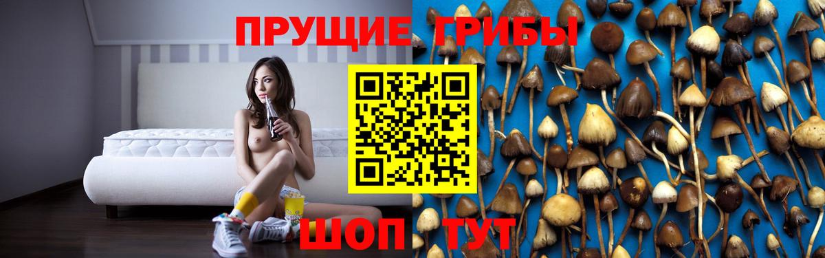 Грозный  где купить наркоту  Галлюциногенные грибы Psilocybine cubensis  Вход с VPN  Псилоцибиновые грибы мухоморы 